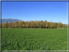 foto Alle pendici del Monte Grappa in Autunno